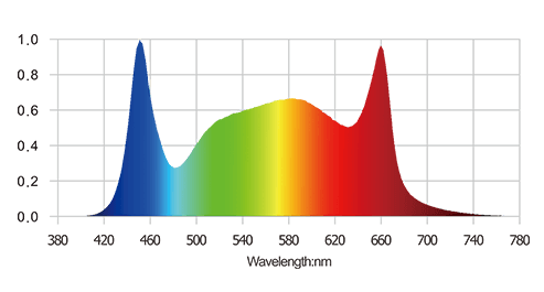 FSG spectrum (1)