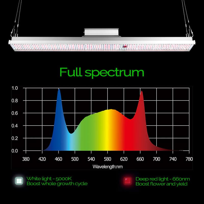 full-spectrum-lamps-1