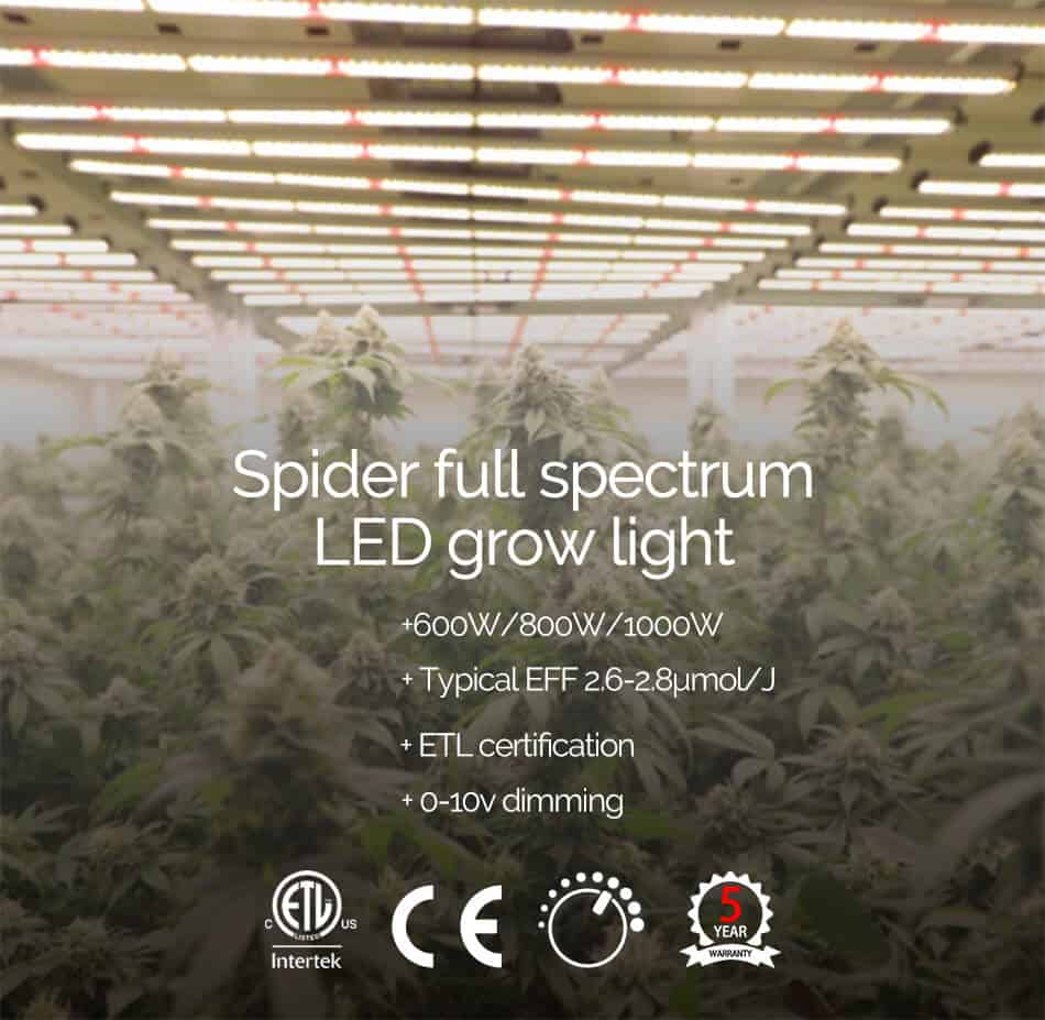 Spider LED grow light for indoor_1