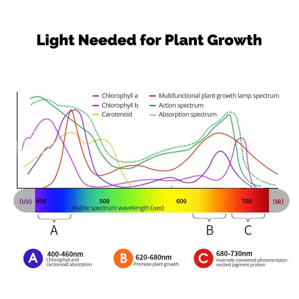 what-spectral-bands-are-needed-for-plant-growth