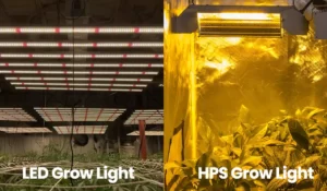 LED-grow-lights-and-HPS-grow-lights