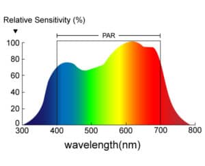 PAR-spectrum-for-LED-lamps