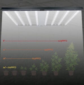 How-high-above-my-plants-should-my-LED-grow-light-be