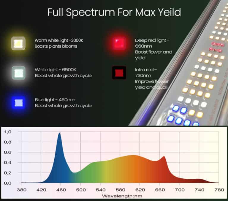 Which-light-color-inhibits-plant-growth